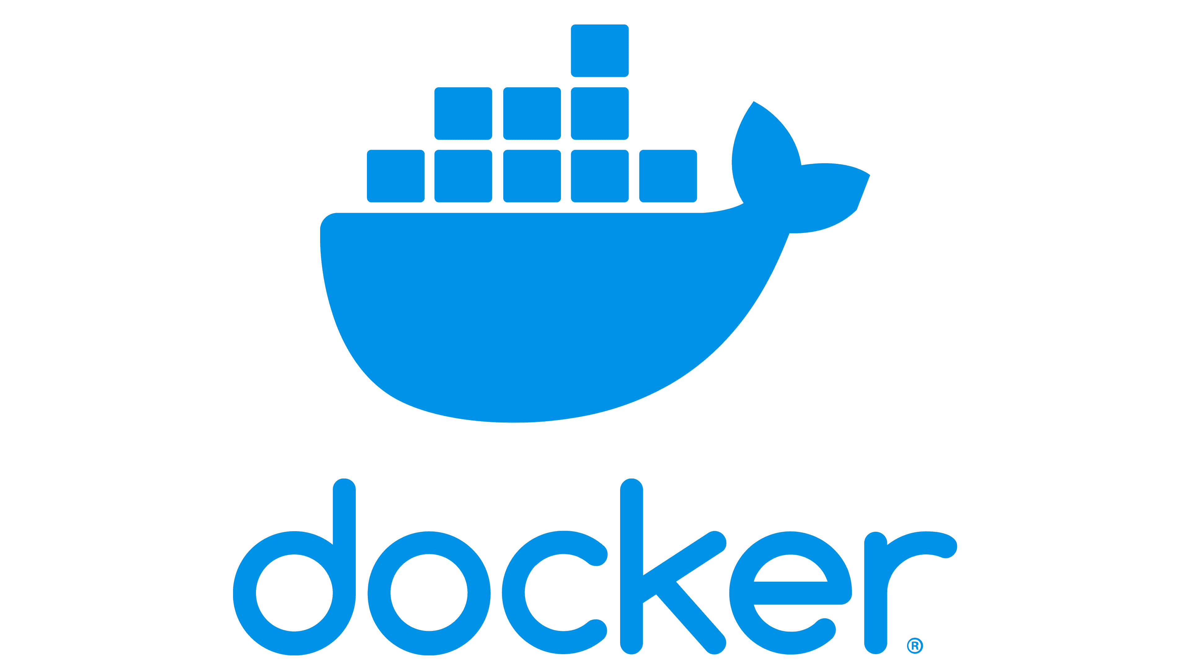 Web applicatie ontwikkelen: logo Docker.